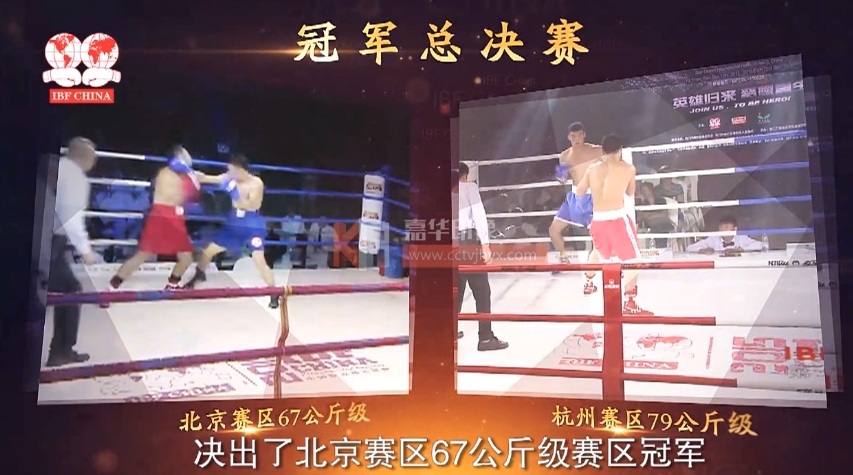 IBF 全国拳击联赛